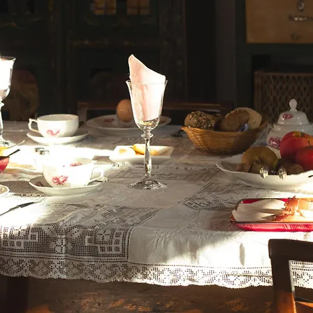 Merli's Nest Bed & Breakfast
