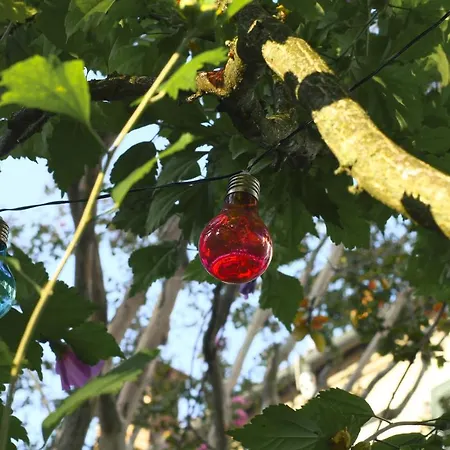 Merli's Nest Bed & Breakfast Ferrara