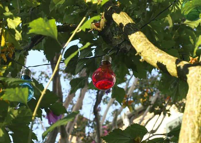 Merli's Nest Отель типа 